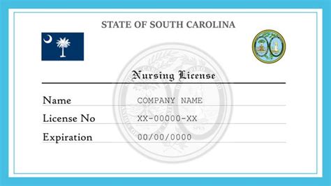 south carolina registered nurse licensure