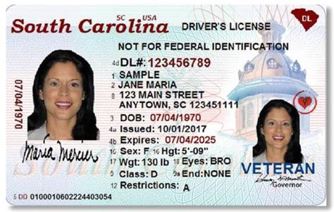 south carolina sportsman license
