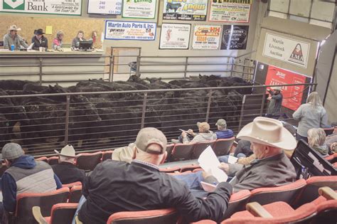 south dakota livestock auctions