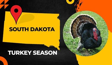 south dakota turkey hunting 2023