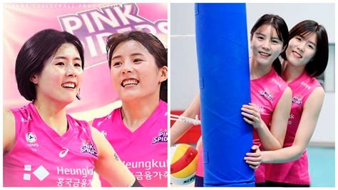 south korea sweetheart volleyball fan club