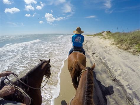 south padre island horse