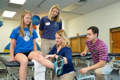 south university physical therapy