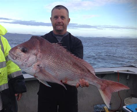 south west rocks fishing charters nsw