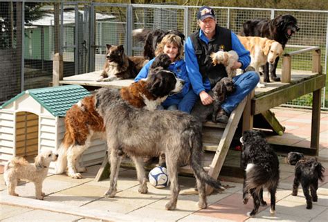 southampton dog rescue centre