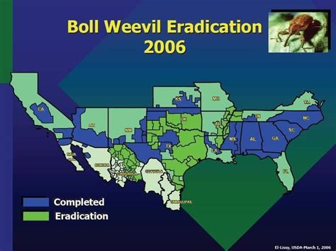 southeastern boll weevil eradication program