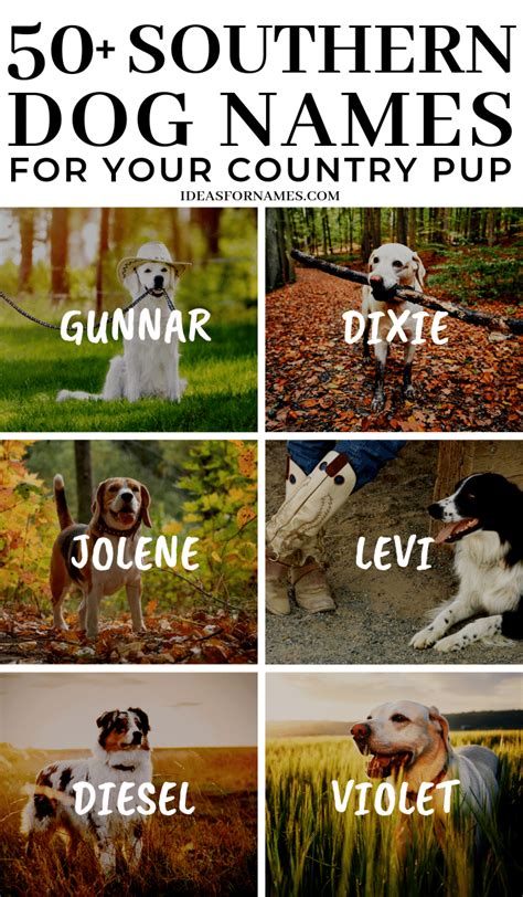 Southern Country Female Dog Names