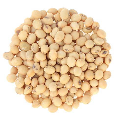 Soy Beans Png