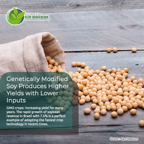 Soy Products Genetically Modified