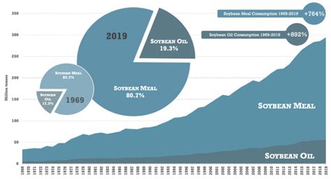 Soybean Oil Consumption