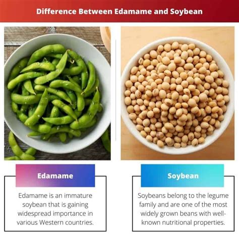 Soybeans And Edamame The Same