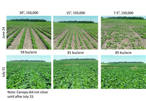 Soybeans Planting Depth