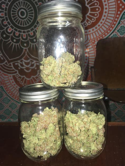 Space Bucket Yield Reddit