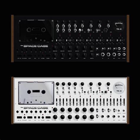 Space Case Tape Echo