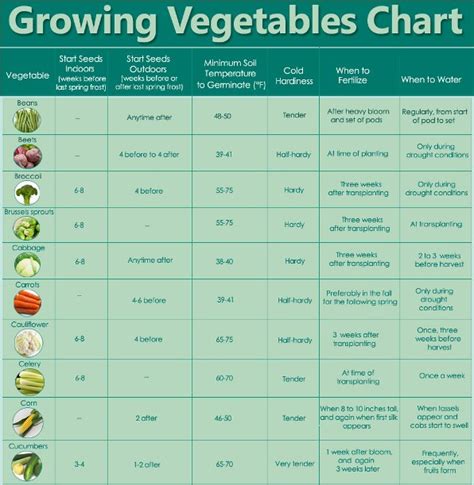 Space Requirements For Vegetables