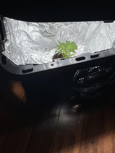 Spacebucket Indoor Grow