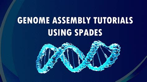 Spades Assembler Tutorial