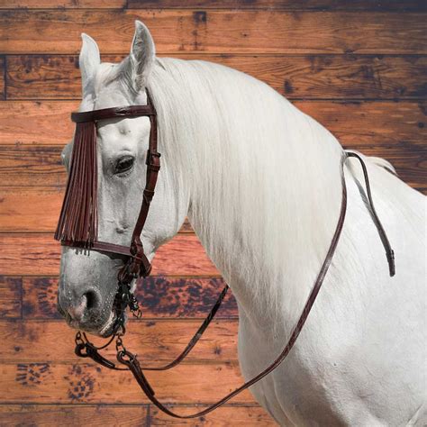 Spanish Bridle