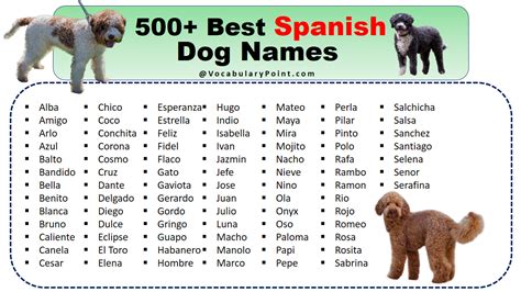 Spanish Dog Names for Chihuahua