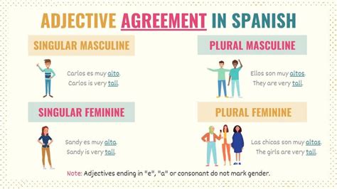 spanish noun adjective agreement examples