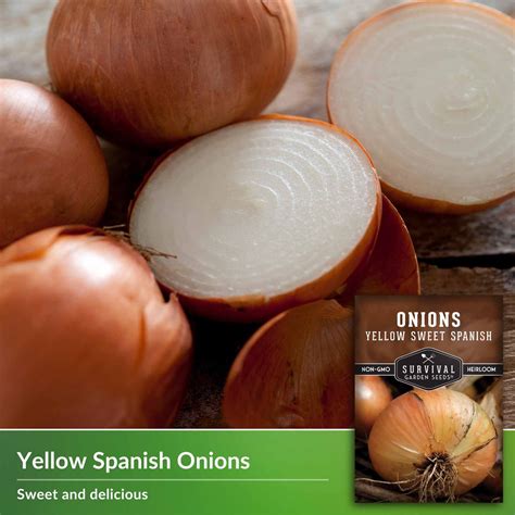 Spanish Onion Code