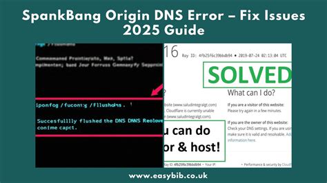 spankbang origin dns error 2024