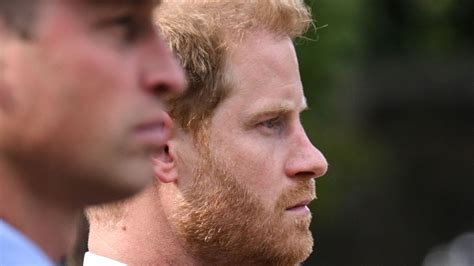 spare prince harry book review