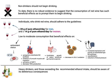 Sparkling Wine Side Effects