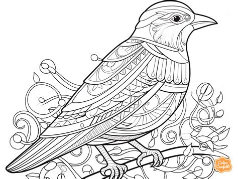 Sparrows Mandala Coloring Pages