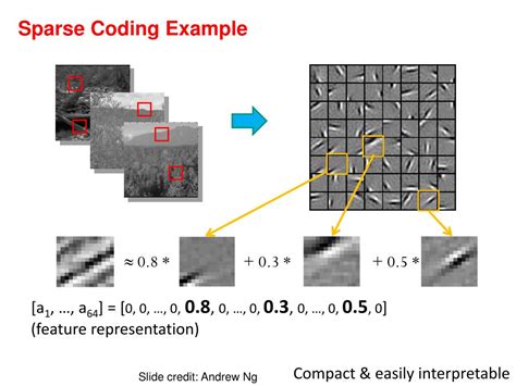 sparse coding example