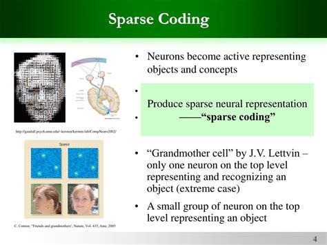 sparse coding psychology example