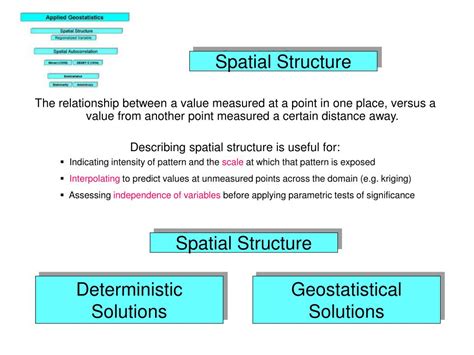 spatial structure meaning in biology
