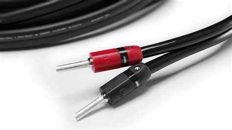 Speaker Cable Best Brands