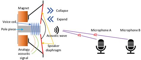 Speaker Diaphragm Vibration