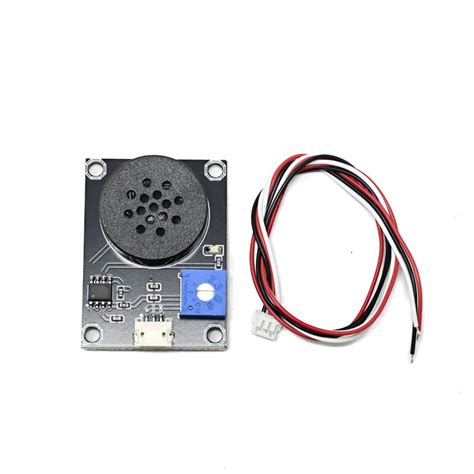 Speaker Module Meaning