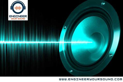 Speaker Phase Plug Purpose