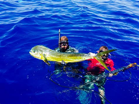 spearfishing in puerto rico