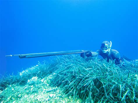 spearfishing rules in florida