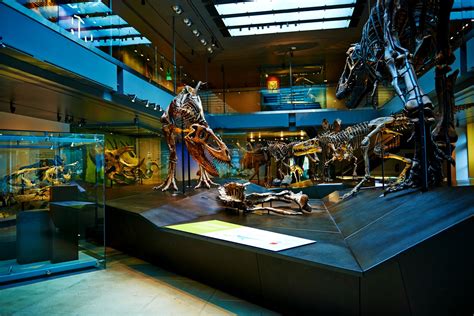special exhibits at museum of natural history