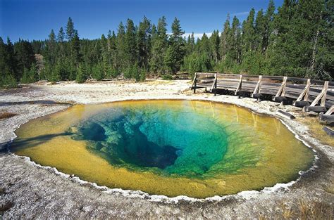 Special Features About Yellowstone
