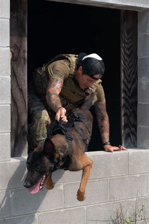 Special Forces K9 Handler