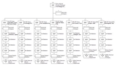 special forces squad structure