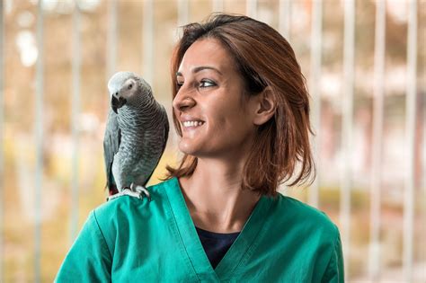 Specialized Care for Avian and Exotic Pets: Emergency Care