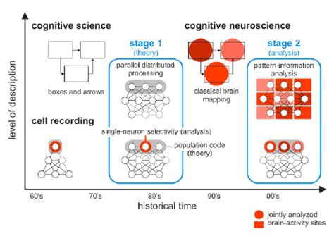 specificity coding vs population coding