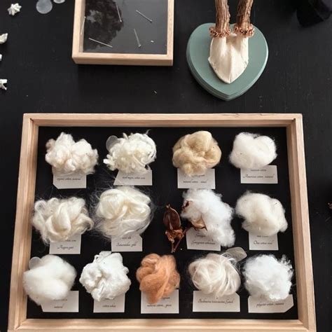 Specimen Box Cotton