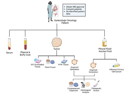 Specimen Collection Workflow