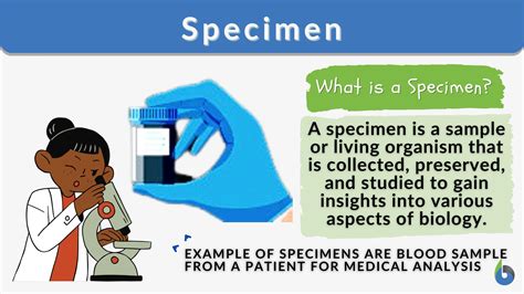 Specimen Example Definition