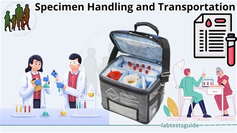 Specimen Handling Procedure