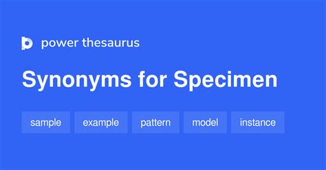 Specimen Synonym Noun