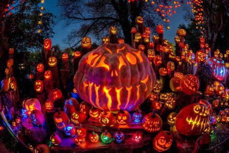 Spectacular Jack O Lantern